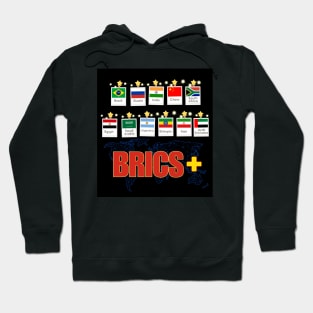 Brics group Hoodie